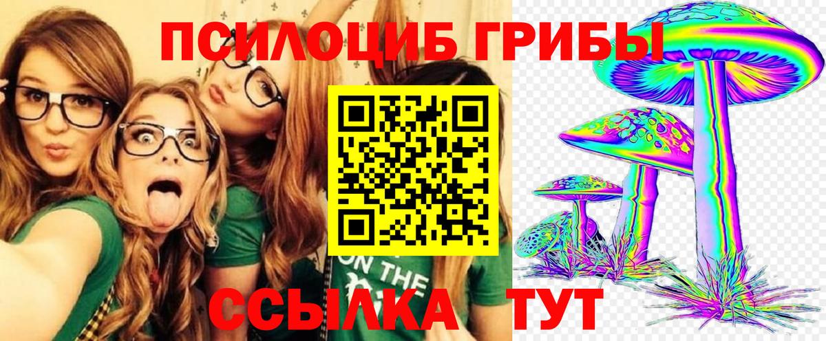 Псилоцибиновые грибы GOLDEN TEACHER Нарткала